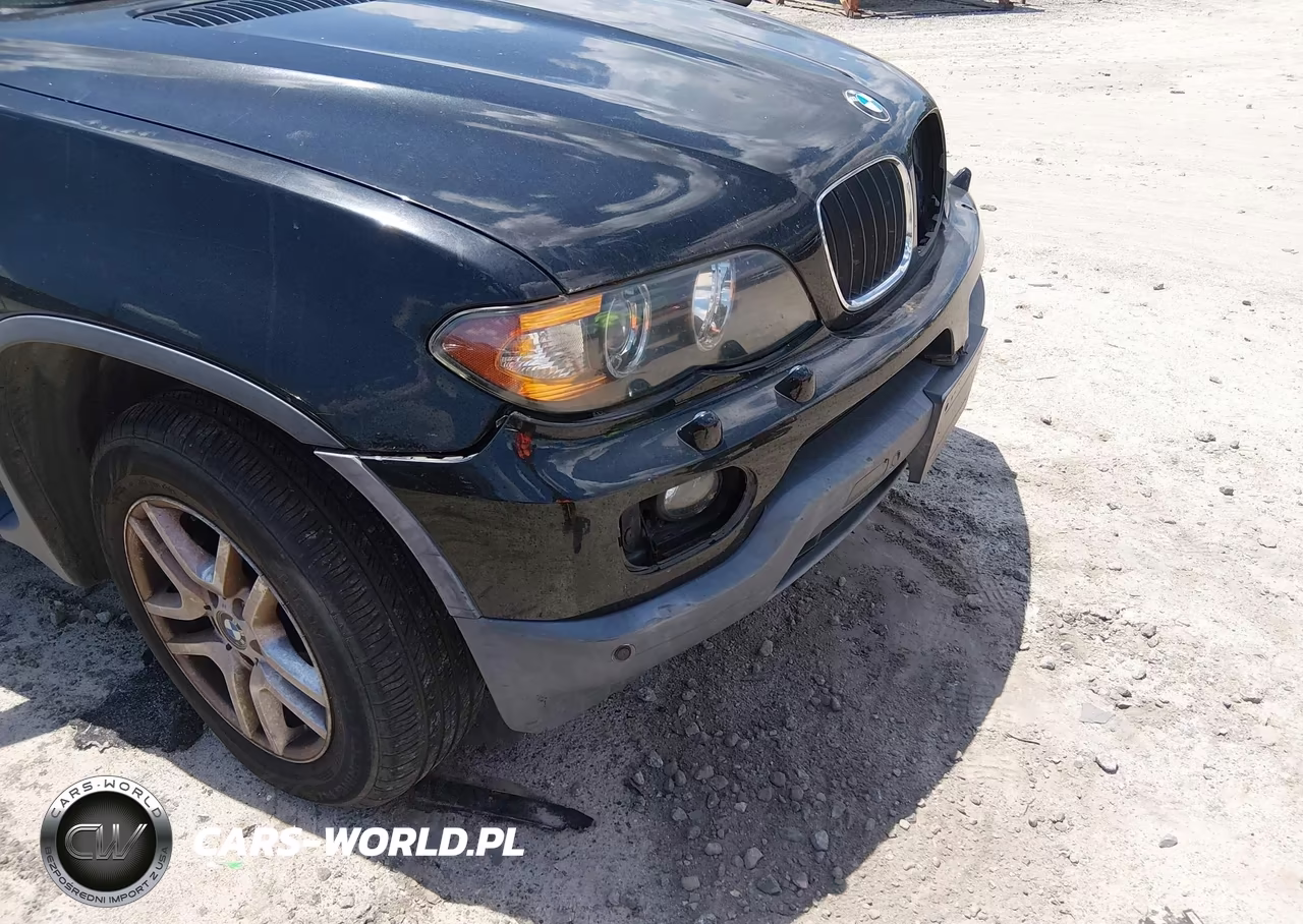 2004 BMW X5 3.0I VIN:5UXFA13594LU24798 - 14