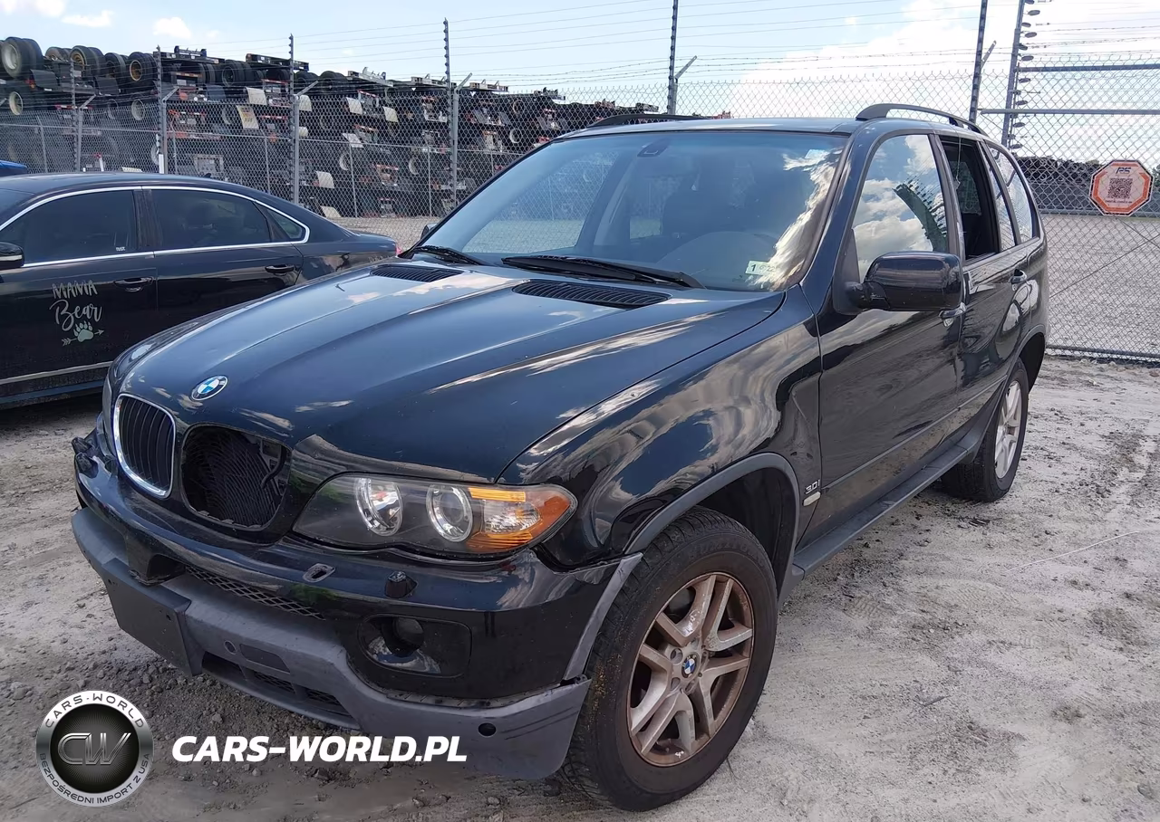2004 BMW X5 3.0I VIN:5UXFA13594LU24798 - 2