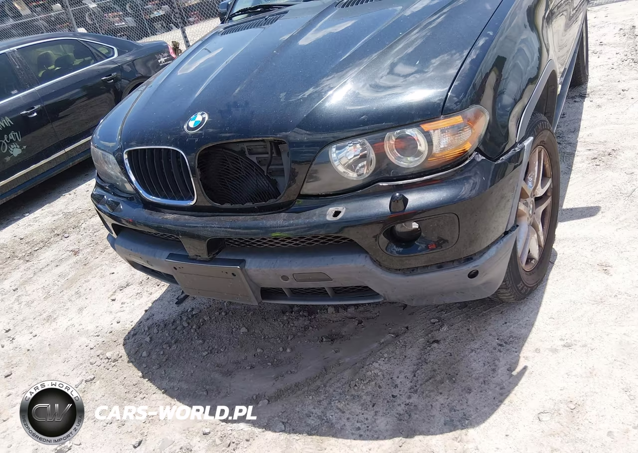2004 BMW X5 3.0I VIN:5UXFA13594LU24798 - 6