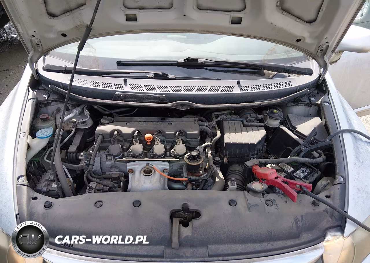 2009 Honda Civic Lx VIN:1HGFA165X9L009222 - 10