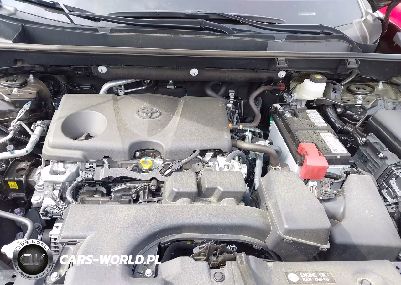2025 Toyota Rav4 Xle VIN:2T3W1RFV4SW431146 - 10