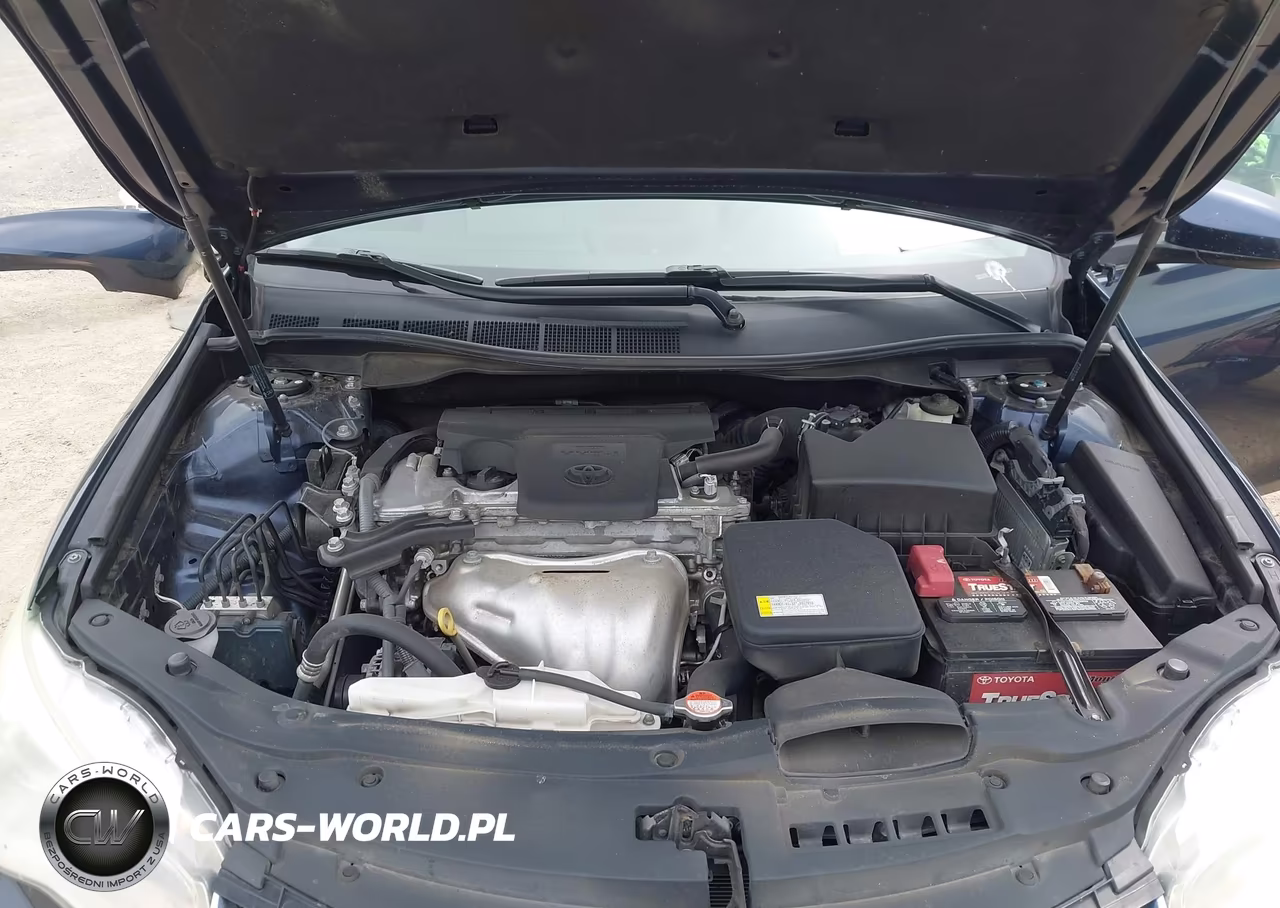 2016 Toyota Camry Le VIN:4T1BF1FKXGU536071 - 10