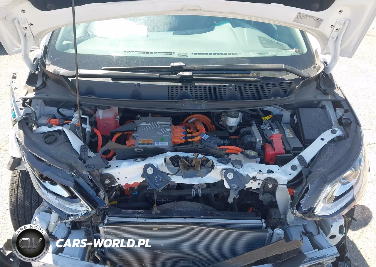 2019 Chevrolet Bolt Ev Premier VIN:1G1FZ6S02K4135226 - 10
