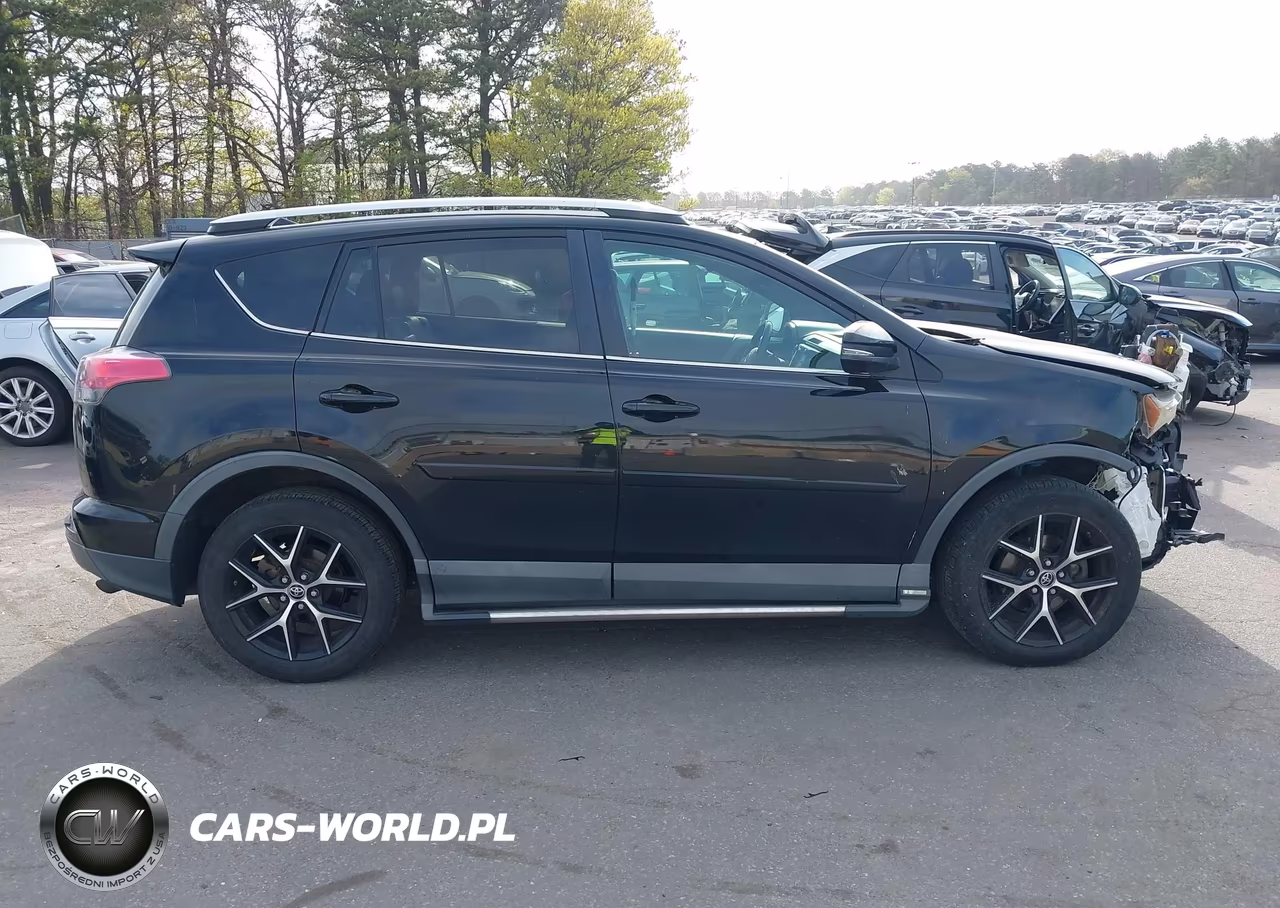 2016 Toyota Rav4 Se VIN:2T3JFREV7GW516907 - 13