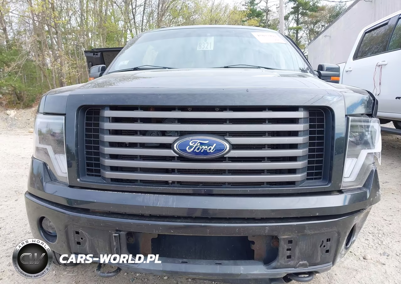 2012 Ford F-150 Fx4 VIN:1FTFX1EF8CFA83042 - 13