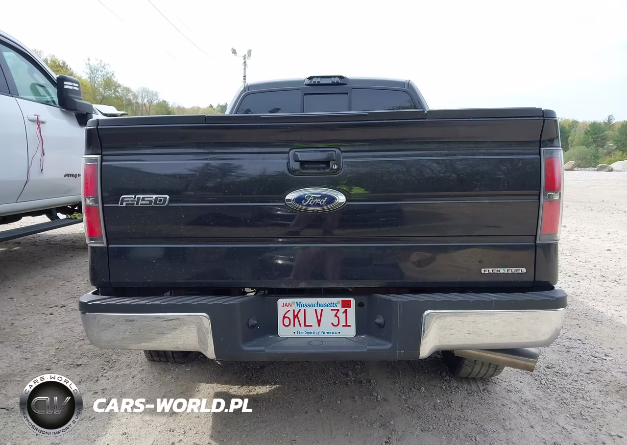 2012 Ford F-150 Fx4 VIN:1FTFX1EF8CFA83042 - 17