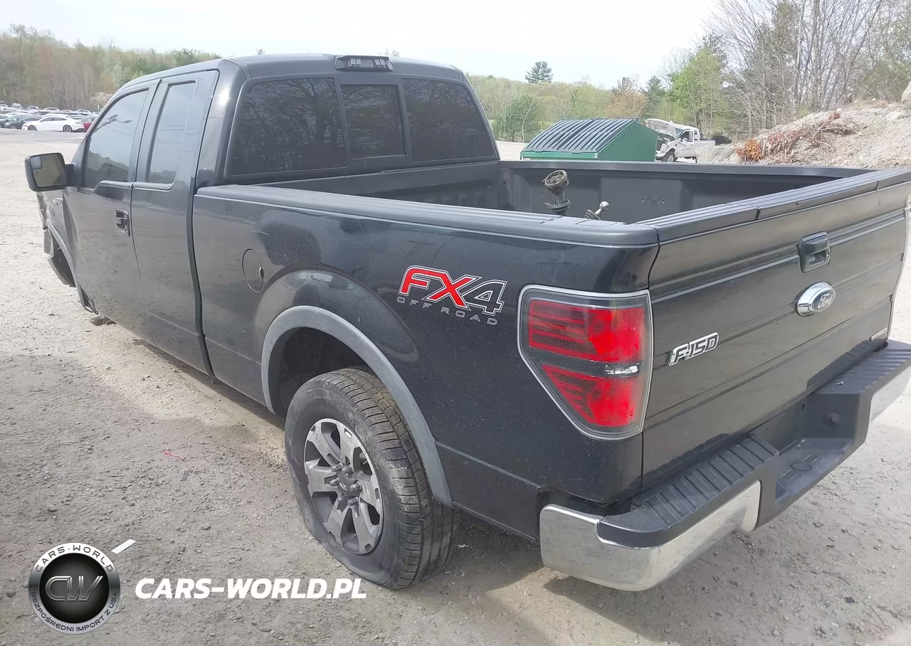 2012 Ford F-150 Fx4 VIN:1FTFX1EF8CFA83042 - 3