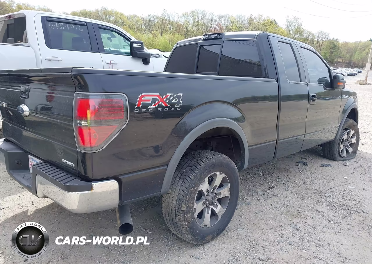 2012 Ford F-150 Fx4 VIN:1FTFX1EF8CFA83042 - 4