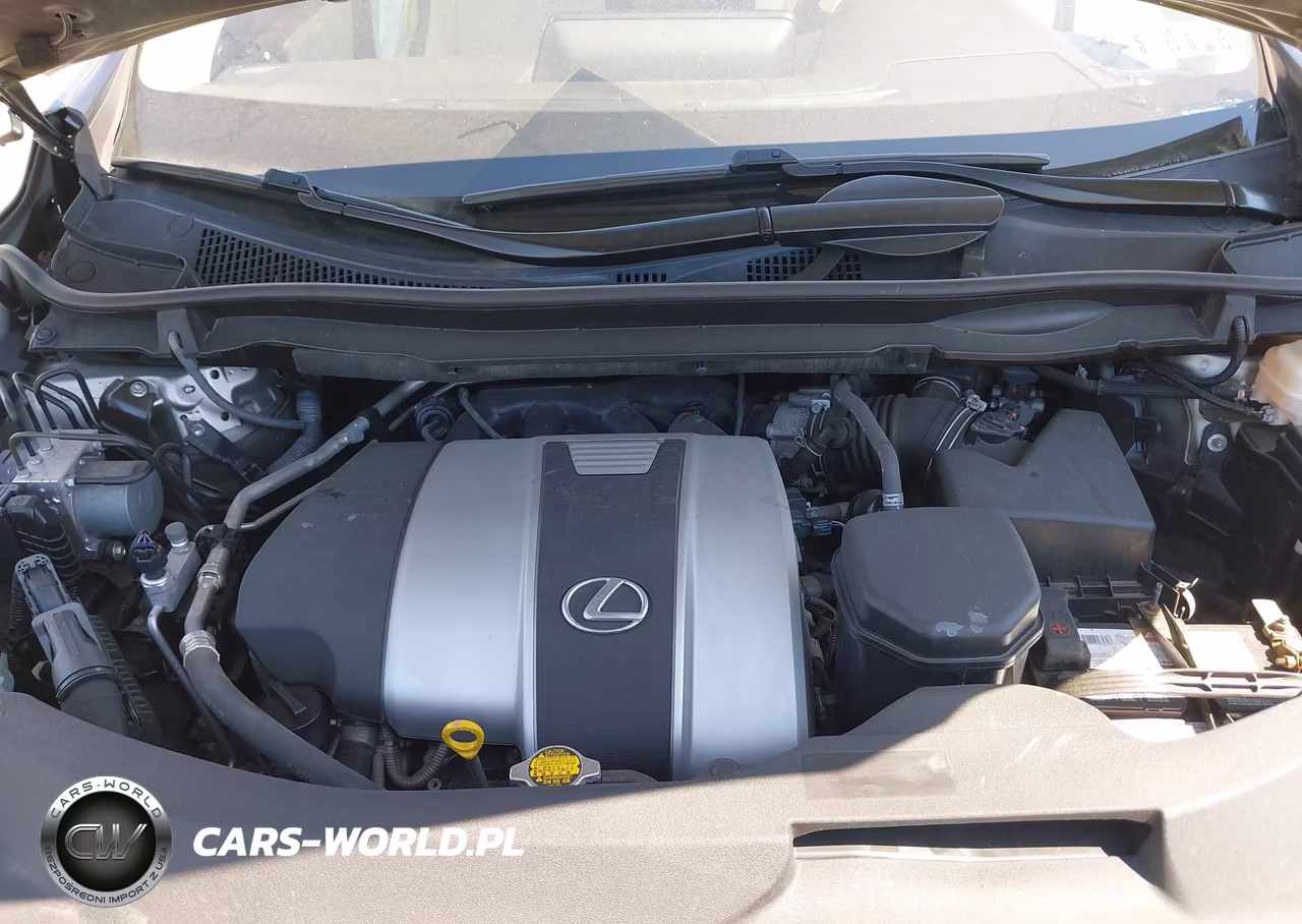 2017 Lexus Rx 350 VIN:2T2BZMCA2HC063303 - 10