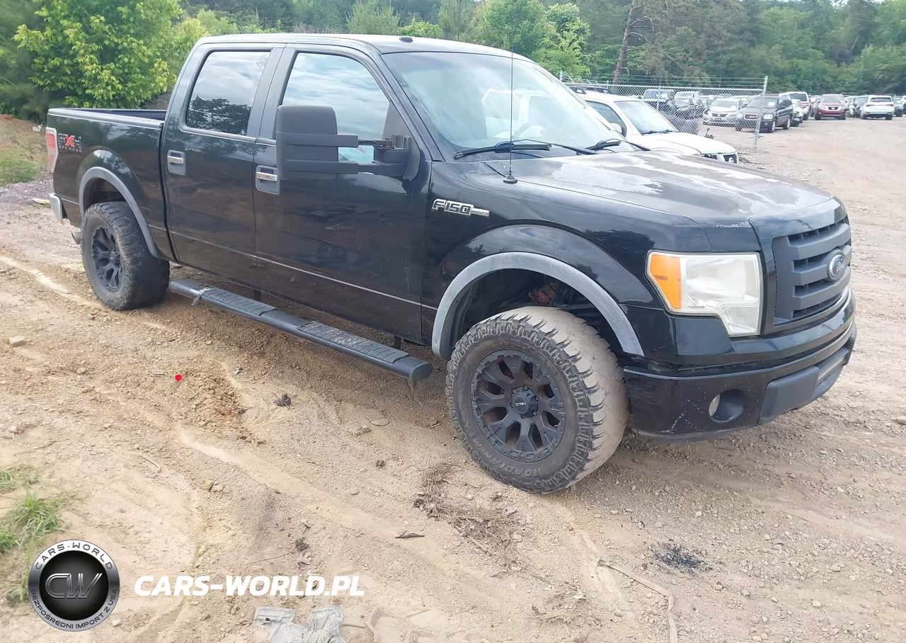 2010 Ford F-150 Fx4-Harley-Davidson-King Ranch-Lariat-Platinum-Xl-Xlt