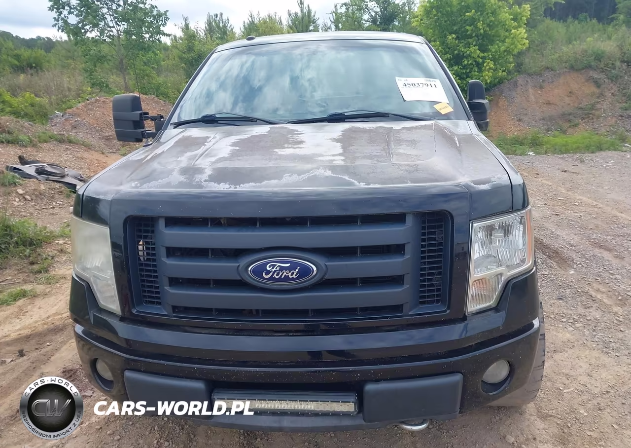2010 Ford F-150 Fx4-Harley-Davidson-King Ranch-Lariat-Platinum-Xl-Xlt VIN:1FTFW1EV8AFB83715 - 12