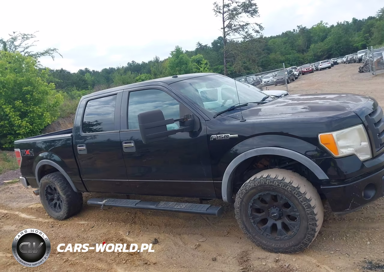 2010 Ford F-150 Fx4-Harley-Davidson-King Ranch-Lariat-Platinum-Xl-Xlt VIN:1FTFW1EV8AFB83715 - 13