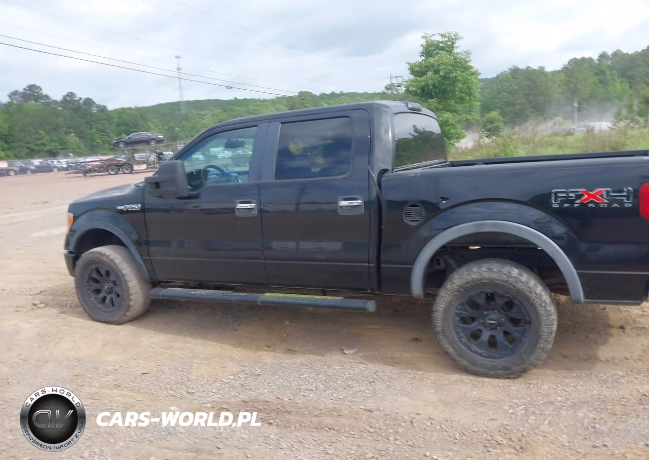 2010 Ford F-150 Fx4-Harley-Davidson-King Ranch-Lariat-Platinum-Xl-Xlt VIN:1FTFW1EV8AFB83715 - 14