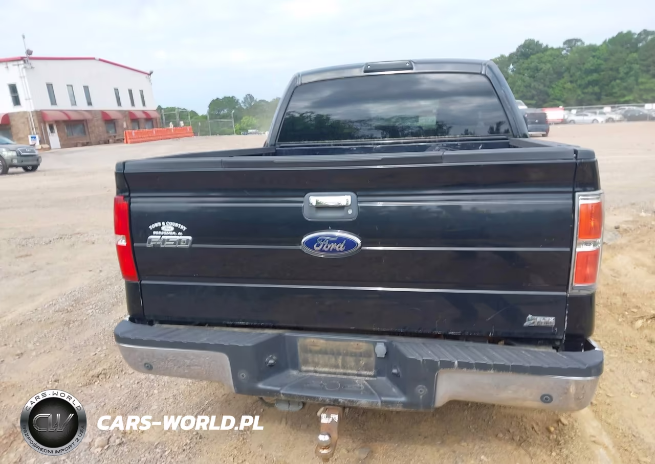 2010 Ford F-150 Fx4-Harley-Davidson-King Ranch-Lariat-Platinum-Xl-Xlt VIN:1FTFW1EV8AFB83715 - 16