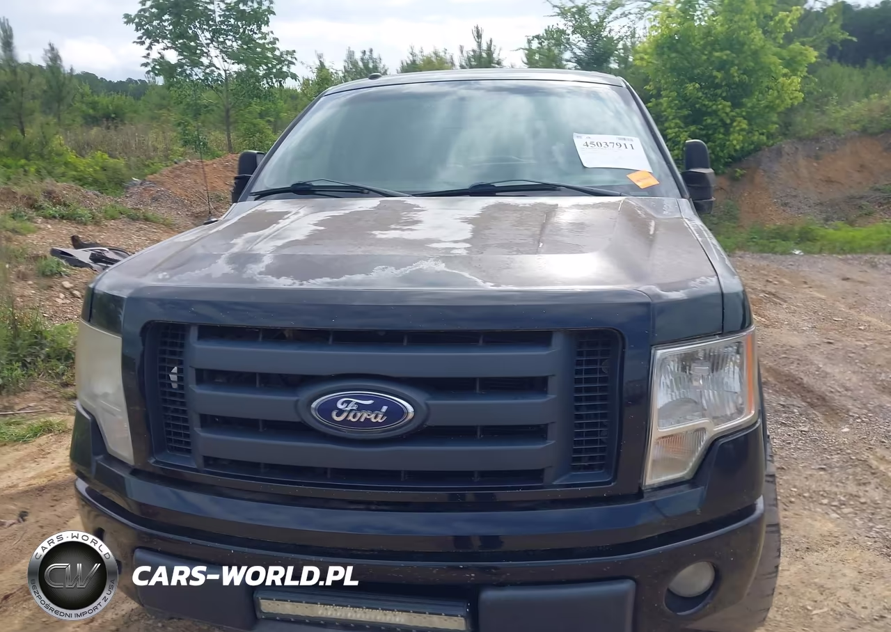 2010 Ford F-150 Fx4-Harley-Davidson-King Ranch-Lariat-Platinum-Xl-Xlt VIN:1FTFW1EV8AFB83715 - 6