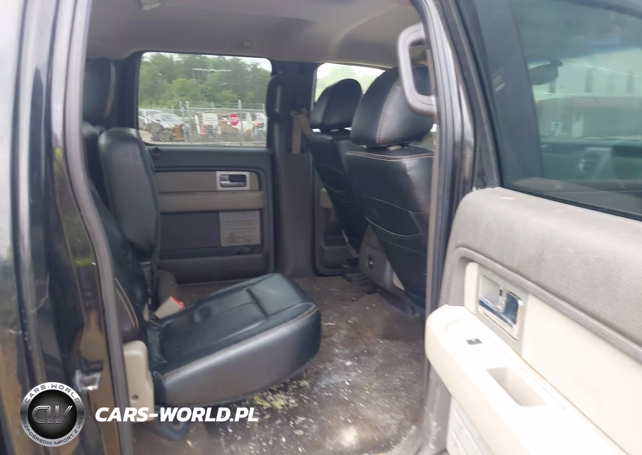 2010 Ford F-150 Fx4-Harley-Davidson-King Ranch-Lariat-Platinum-Xl-Xlt VIN:1FTFW1EV8AFB83715 - 8
