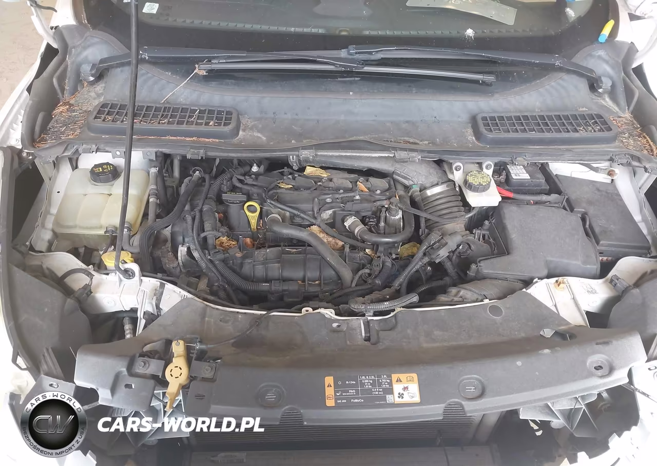 2014 Ford Escape Se VIN:1FMCU0GX9EUB17740 - 10