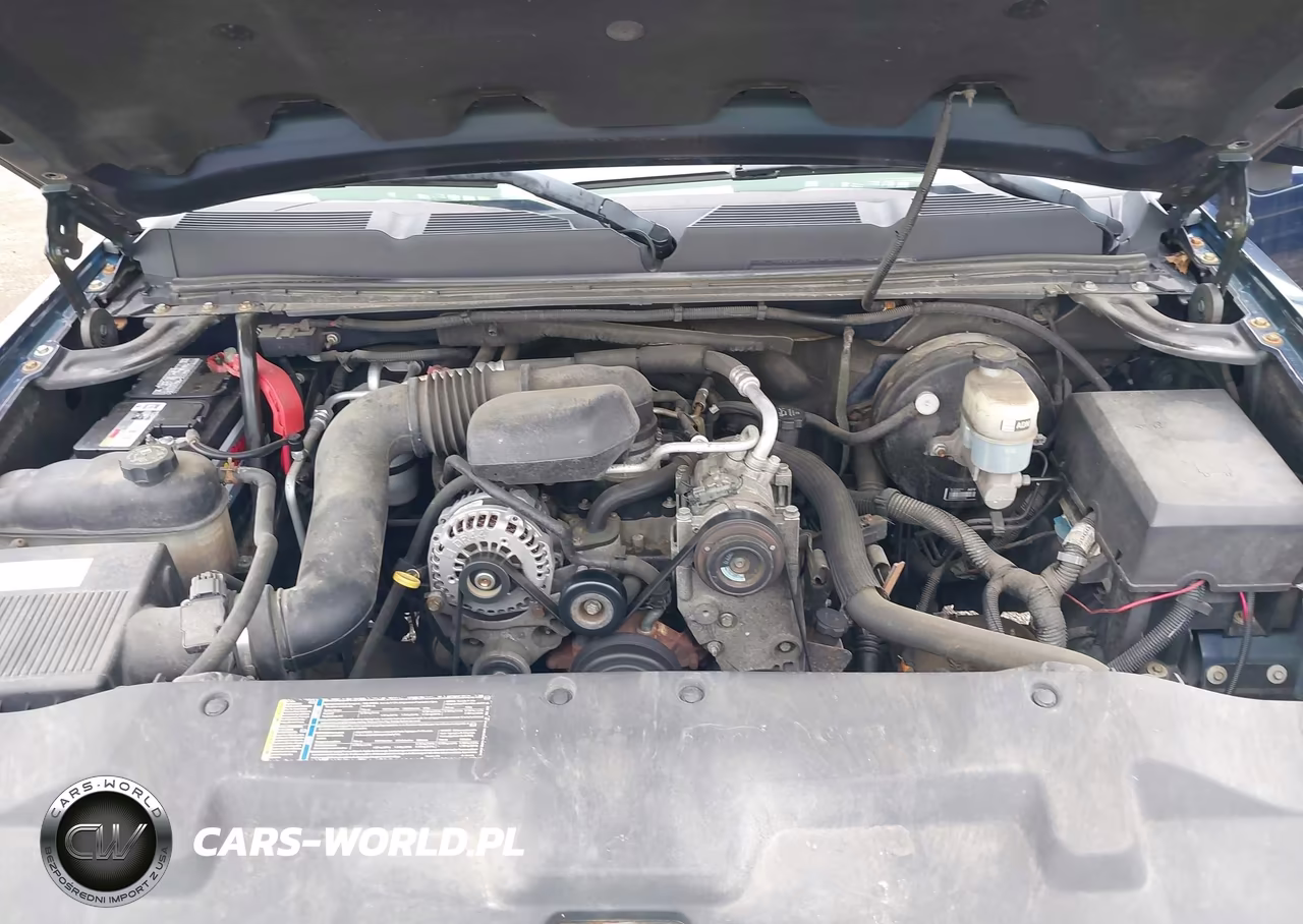 2009 Chevrolet Silverado 1500 Work Truck VIN:1GCEC19X29Z141969 - 10