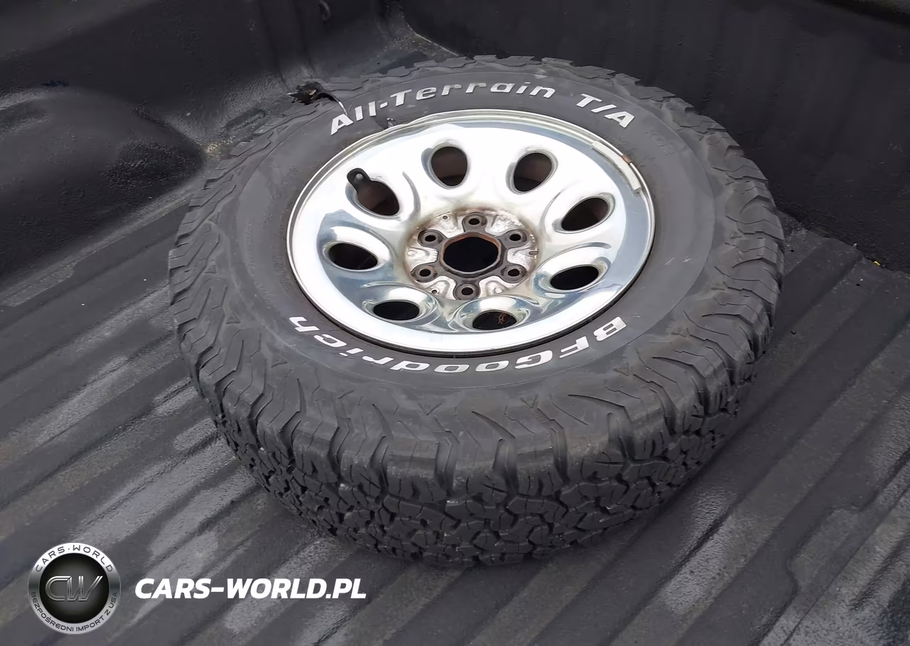 2009 Chevrolet Silverado 1500 Work Truck VIN:1GCEC19X29Z141969 - 12