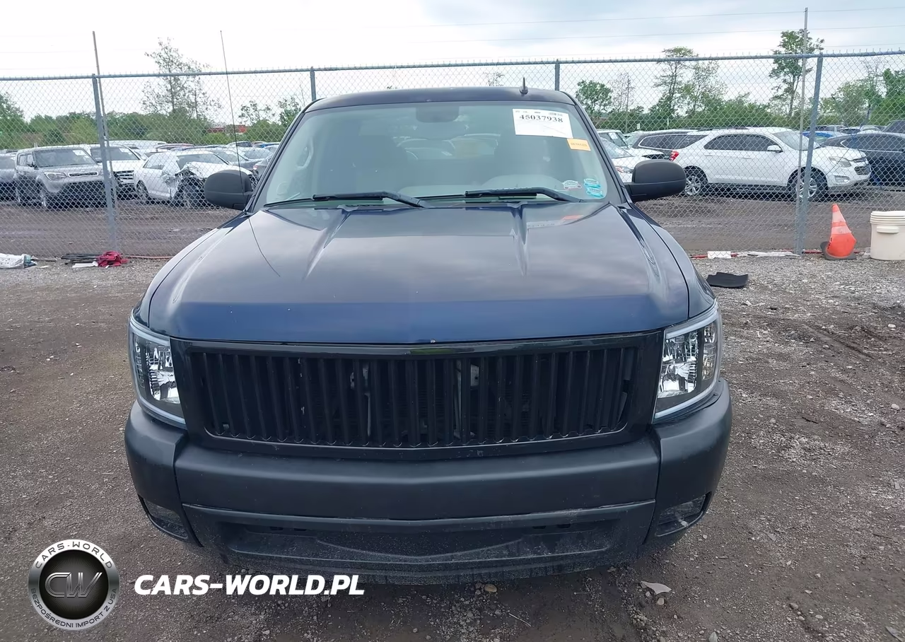 2009 Chevrolet Silverado 1500 Work Truck VIN:1GCEC19X29Z141969 - 13