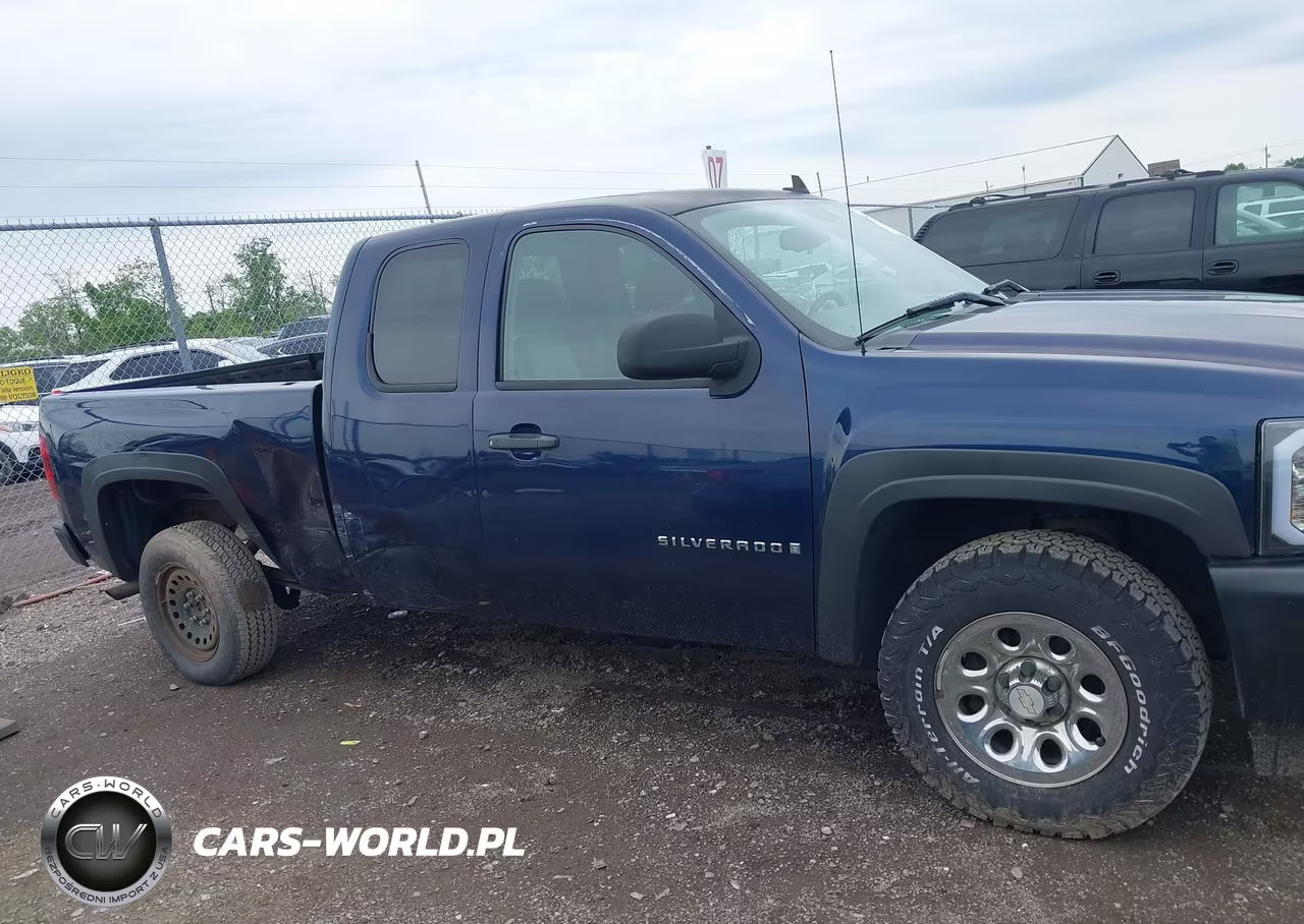 2009 Chevrolet Silverado 1500 Work Truck VIN:1GCEC19X29Z141969 - 14