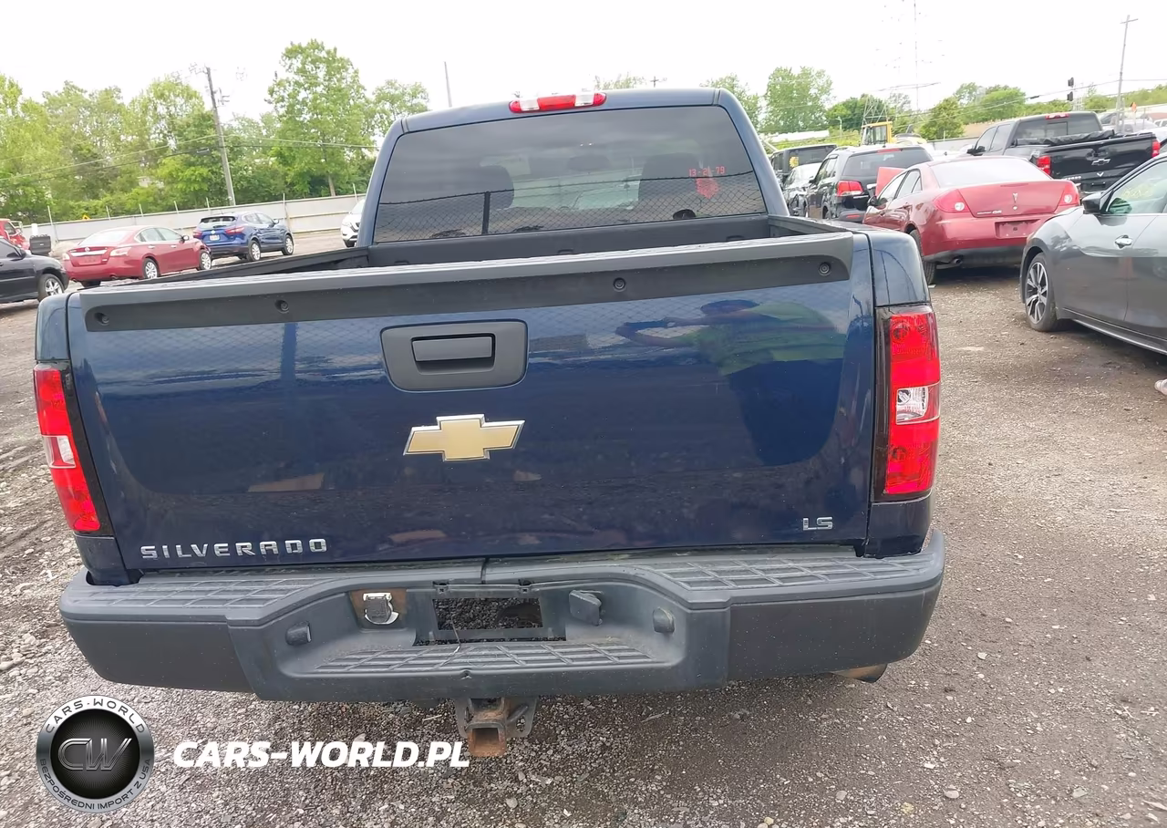 2009 Chevrolet Silverado 1500 Work Truck VIN:1GCEC19X29Z141969 - 17