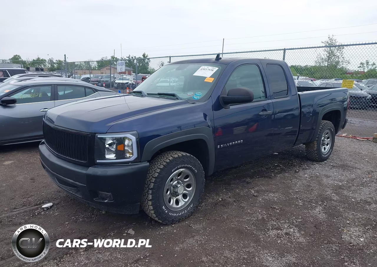 2009 Chevrolet Silverado 1500 Work Truck VIN:1GCEC19X29Z141969 - 2