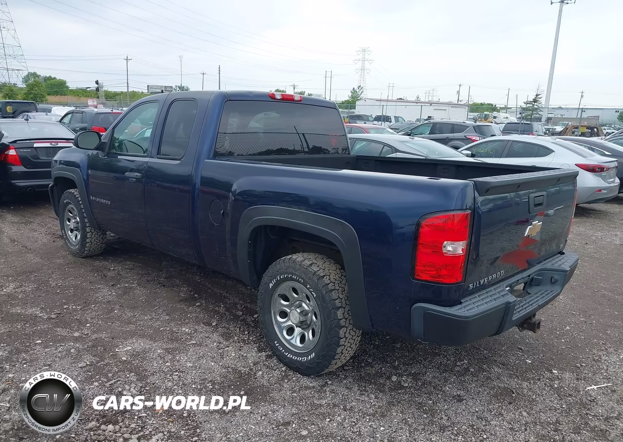 2009 Chevrolet Silverado 1500 Work Truck VIN:1GCEC19X29Z141969 - 3