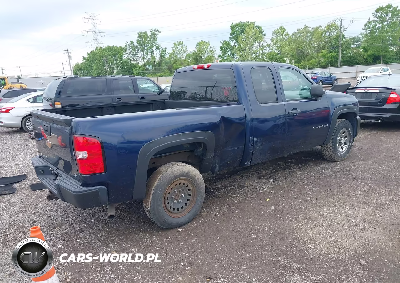 2009 Chevrolet Silverado 1500 Work Truck VIN:1GCEC19X29Z141969 - 4