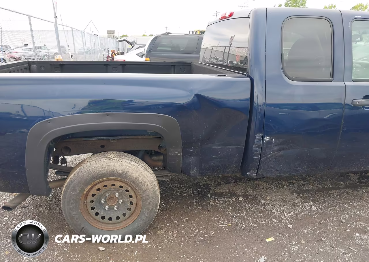 2009 Chevrolet Silverado 1500 Work Truck VIN:1GCEC19X29Z141969 - 6
