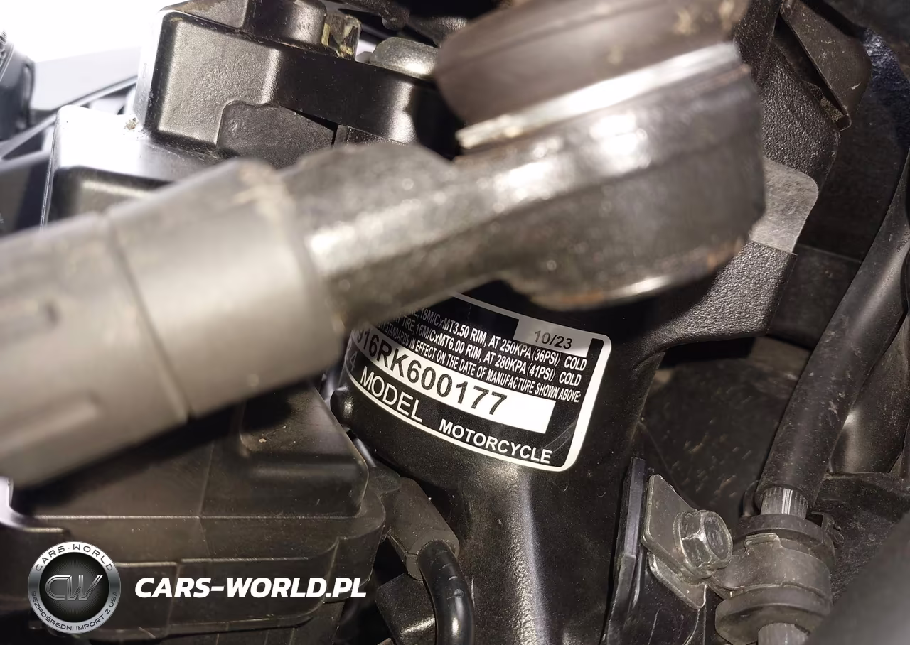 2024 Honda Gl1800 B VIN:JH2SC7916RK600177 - 10