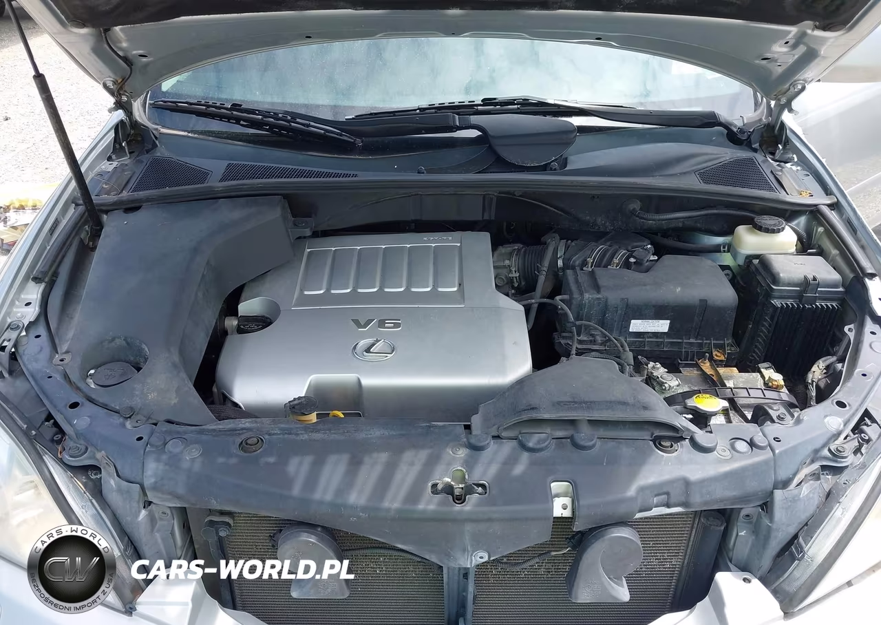 2009 Lexus Rx 350 VIN:2T2HK31UX9C116725 - 10