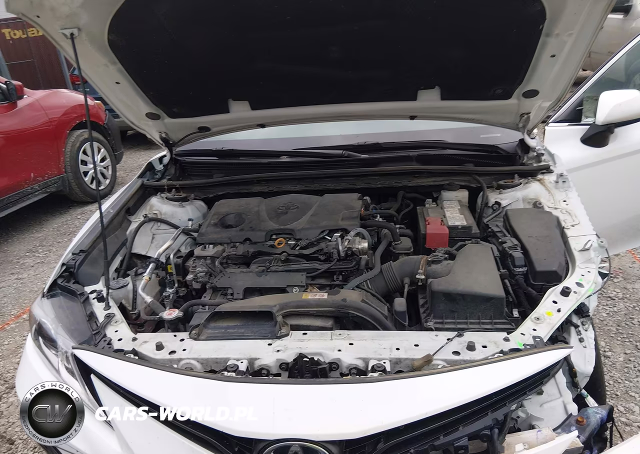 2021 Toyota Camry Le VIN:4T1C11AK5MU446882 - 10