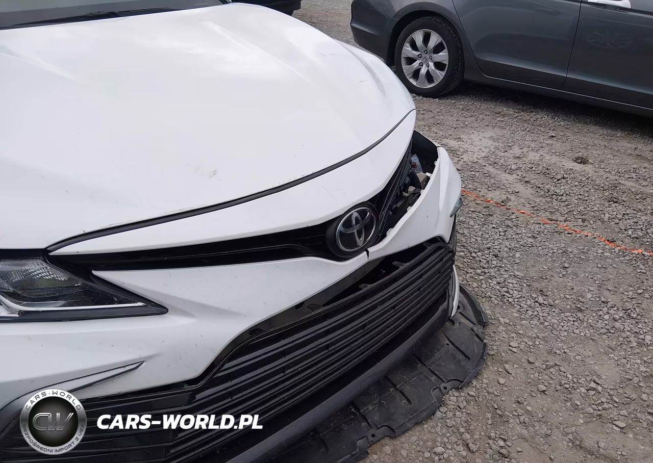 2021 Toyota Camry Le VIN:4T1C11AK5MU446882 - 21