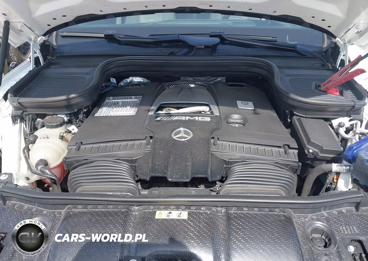 2022 Mercedes-Benz Amg Gls 63 4Matic VIN:4JGFF8KE5NA815596 - 10