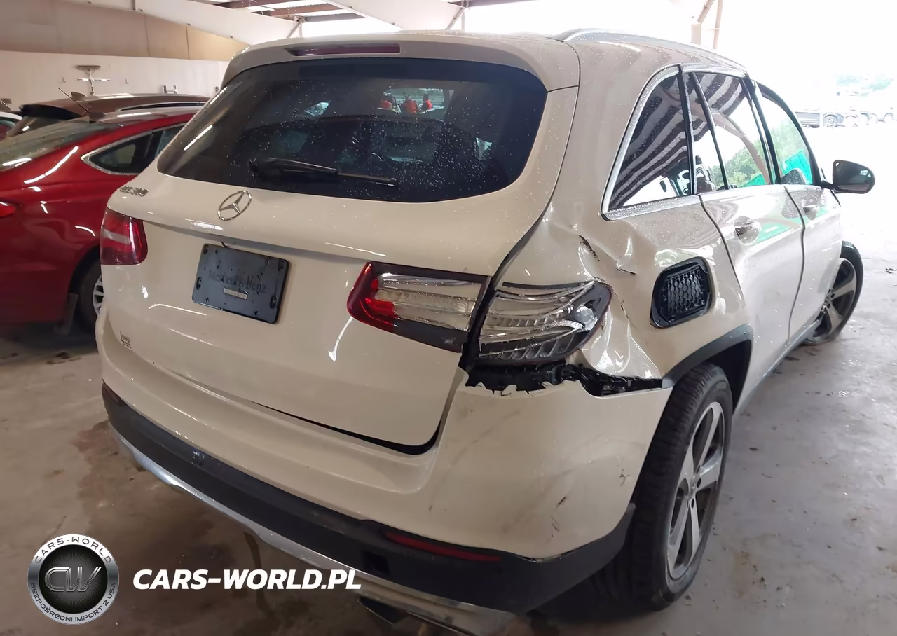 2017 Mercedes-Benz Glc 300 VIN:WDC0G4JB3HF243808 - 19