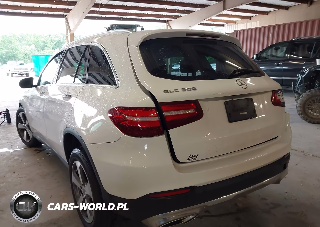 2017 Mercedes-Benz Glc 300 VIN:WDC0G4JB3HF243808 - 20