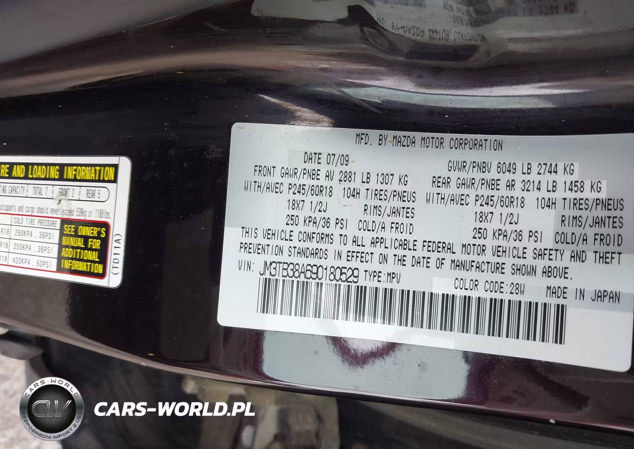 2009 Mazda Cx-9 Touring VIN:JM3TB38A690180529 - 9