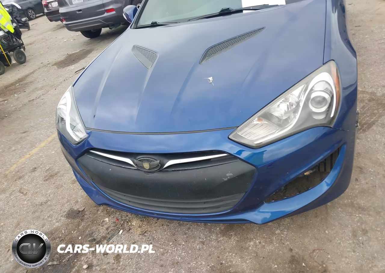 2016 Hyundai Genesis 3.8 Base VIN:KMHHT6KJ8GU132702 - 12