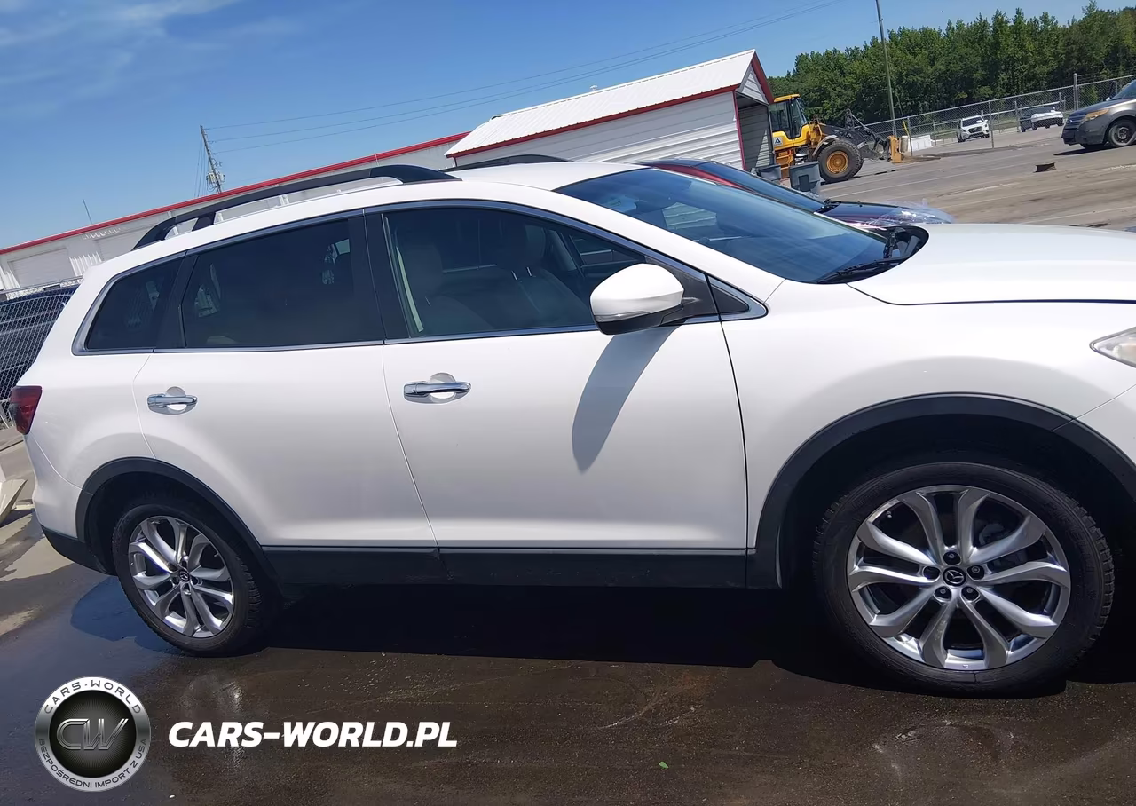 2013 Mazda Cx-9 Grand Touring VIN:JM3TB3DA3D0402507 - 12