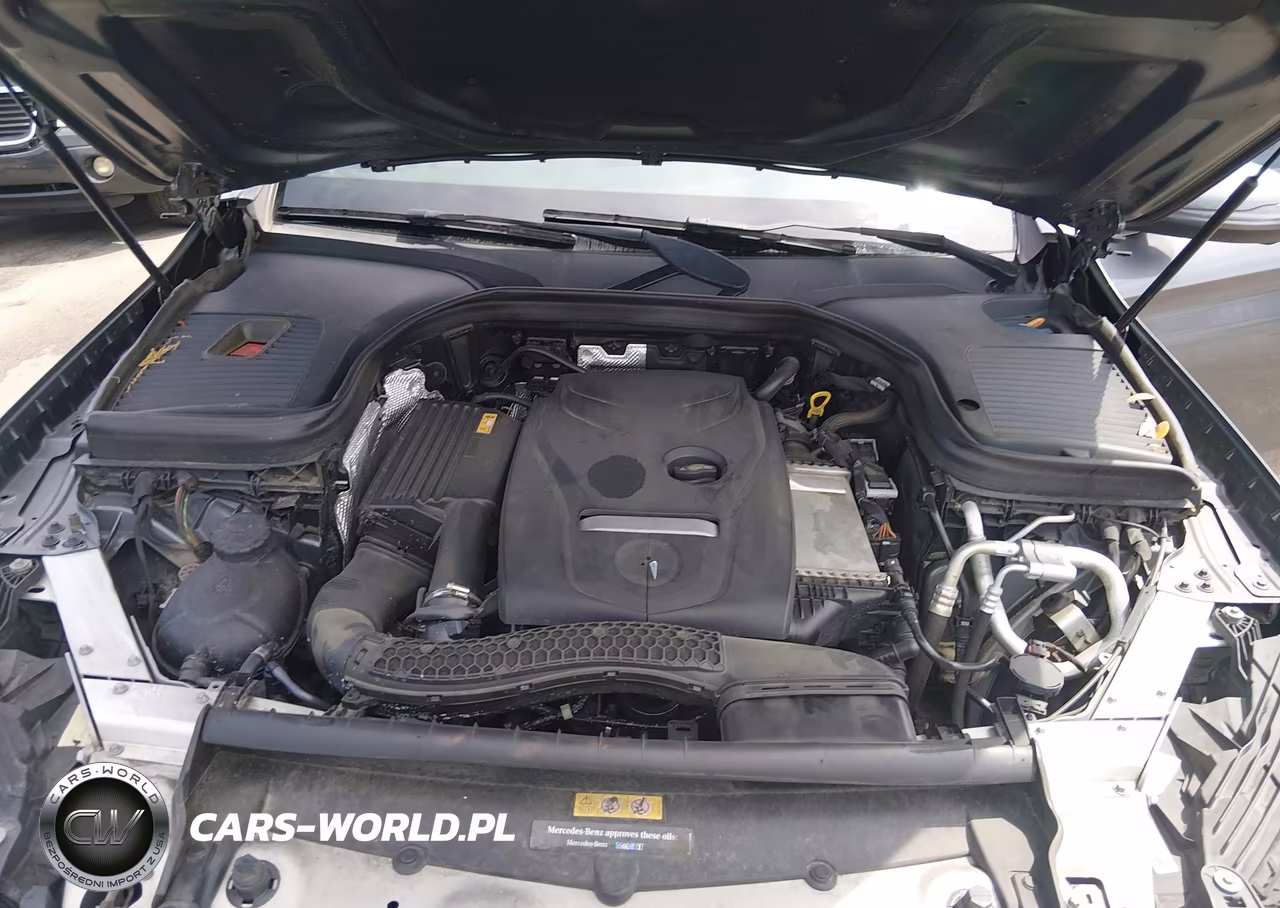 2017 Mercedes-Benz Glc 300 VIN:WDC0G4JB4HF251383 - 10