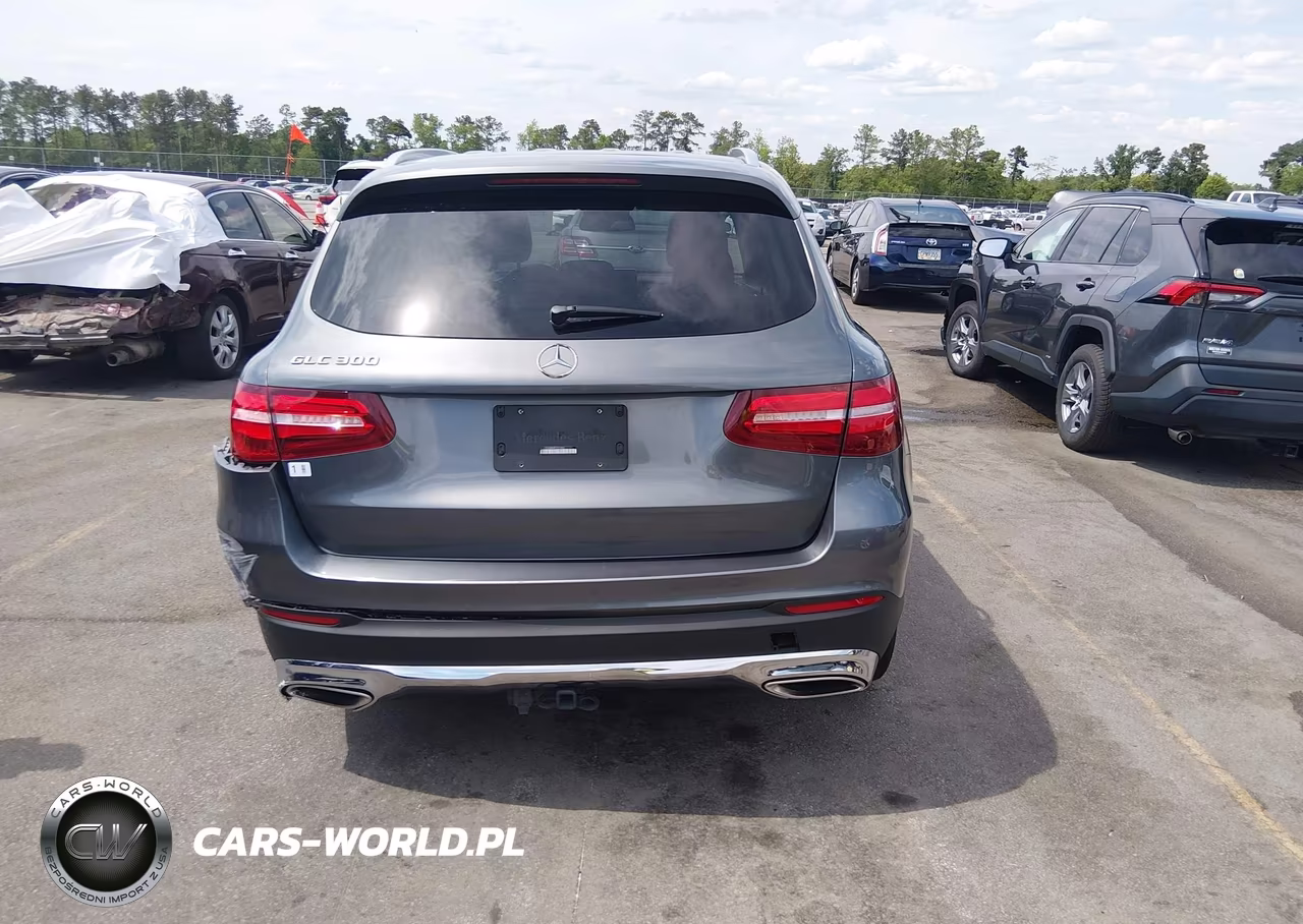 2017 Mercedes-Benz Glc 300 VIN:WDC0G4JB4HF251383 - 16