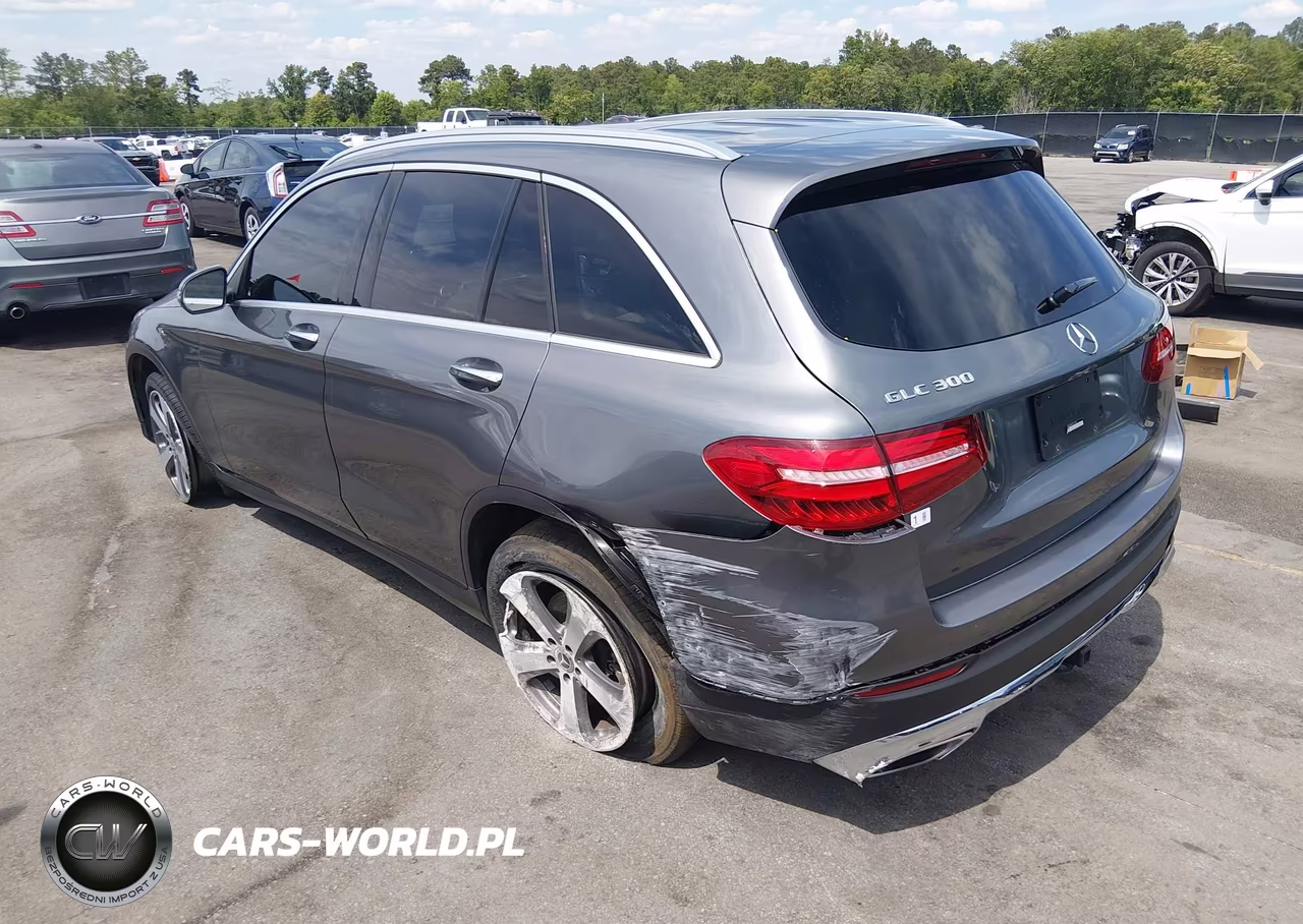 2017 Mercedes-Benz Glc 300 VIN:WDC0G4JB4HF251383 - 3