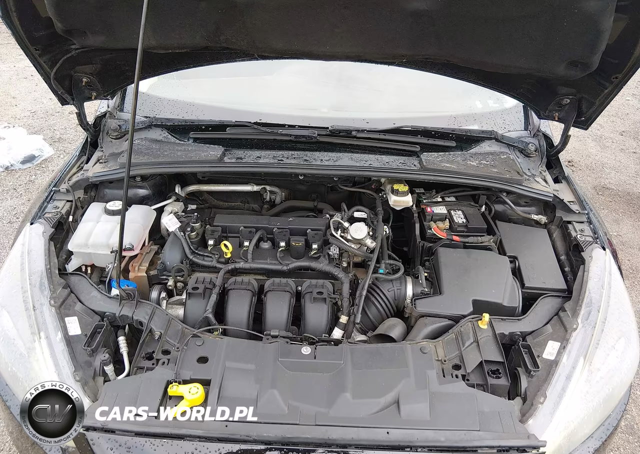 2017 Ford Focus Sel VIN:1FADP3M22HL229693 - 10