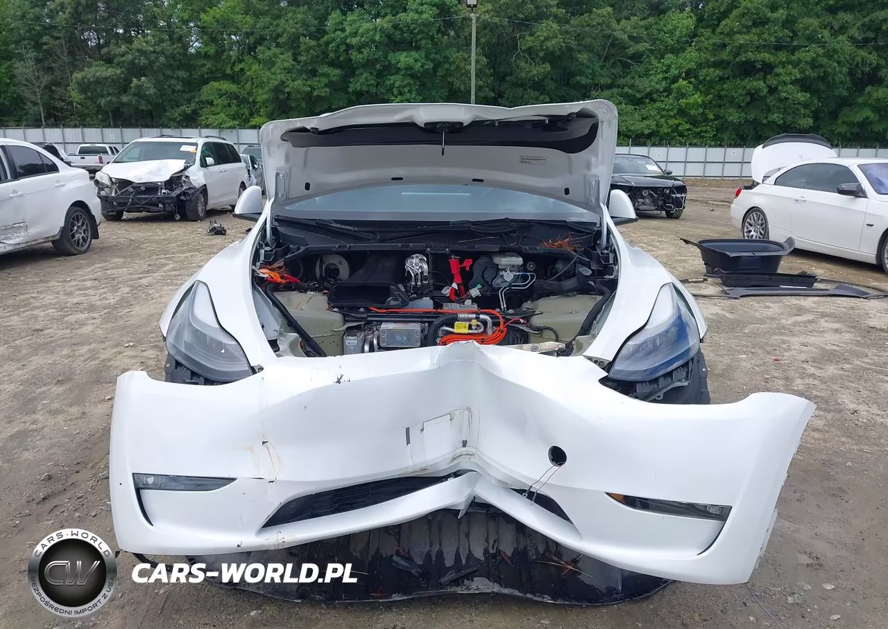 2023 Tesla Model Y Awd-Long Range Dual Motor All-Wheel Drive VIN:7SAYGAEE4PF769737 - 13
