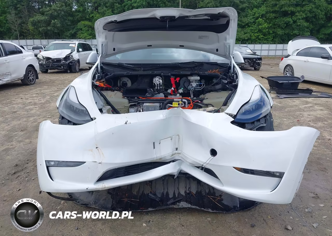2023 Tesla Model Y Awd-Long Range Dual Motor All-Wheel Drive VIN:7SAYGAEE4PF769737 - 6