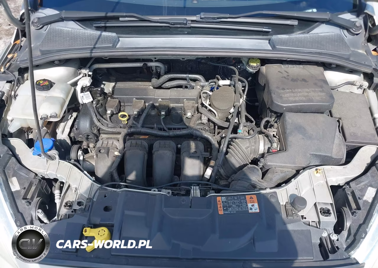 2015 Ford Focus Se VIN:1FADP3F27FL279967 - 10