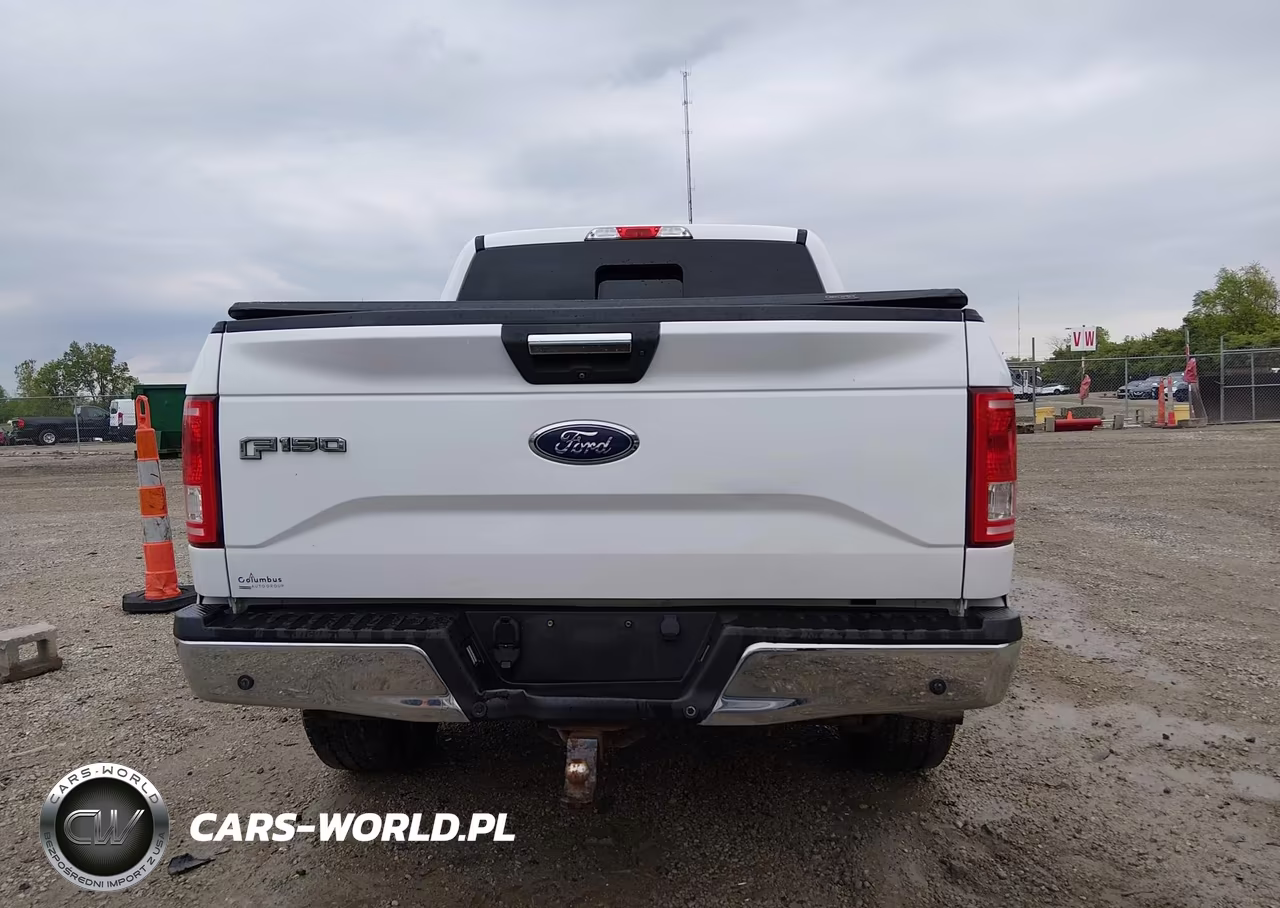 2016 Ford F-150 Xlt VIN:1FTEW1EG7GFB35984 - 17