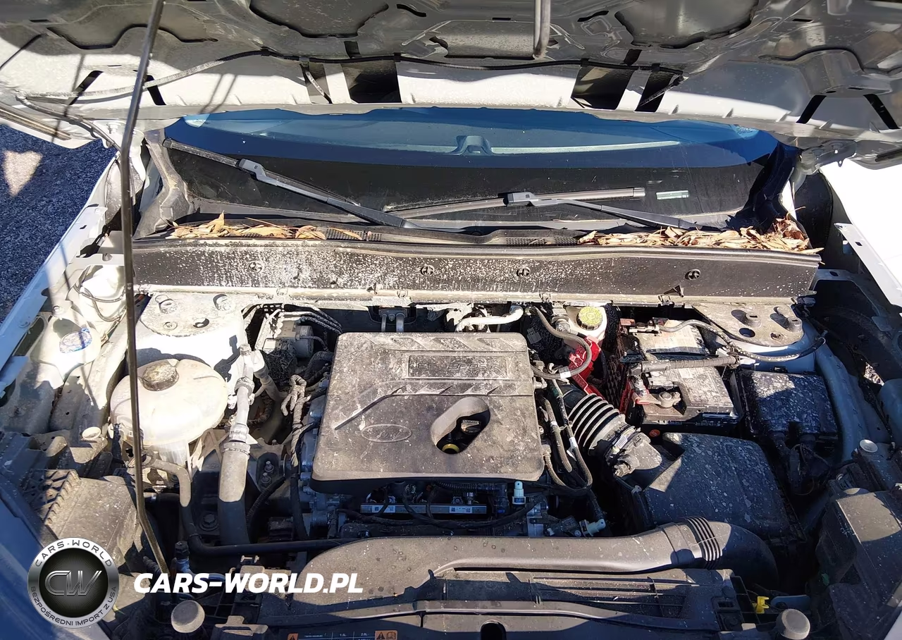2021 Ford Bronco Sport Big Bend VIN:3FMCR9B69MRA11508 - 10