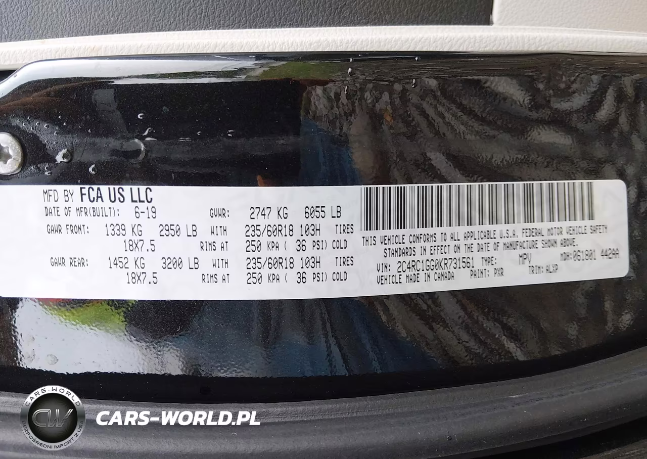 2019 Chrysler Pacifica Limited VIN:2C4RC1GG0KR731561 - 9